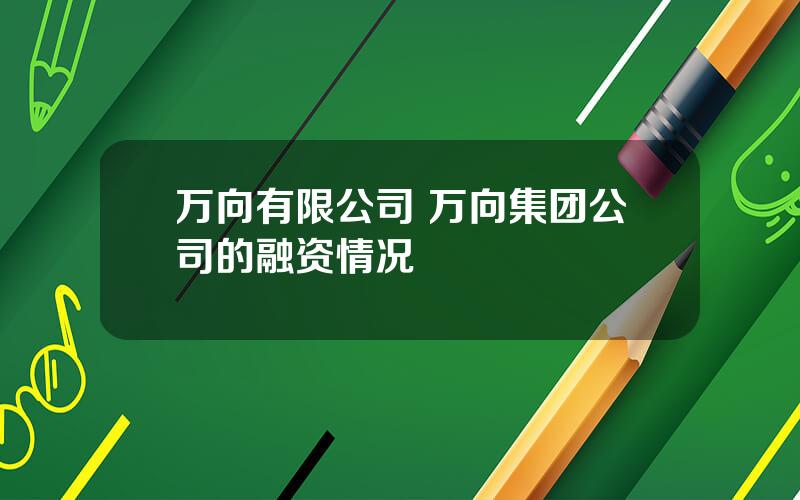 万向有限公司 万向集团公司的融资情况